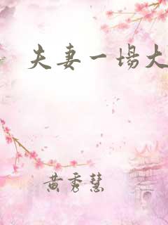 夫妻一场大结局