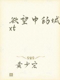 欲望中的城市txt
