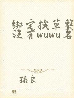 绑定挨草系统后没有wuwu名字