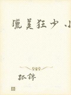 猎美狂少 小说