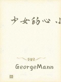 少女的心 小说