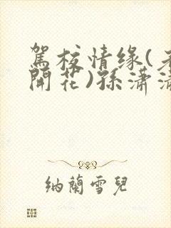 驾校情缘(老树开花)孙潇潇第一次趣笔阁