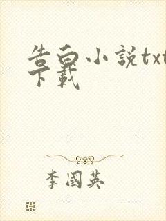 告白小说txt下载