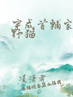 穿成首辅家的小野猫