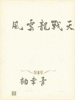 风云龙战天下