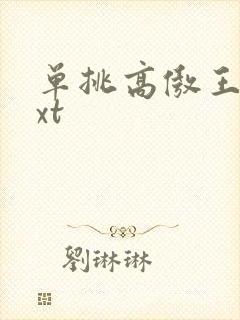 单挑高傲王子txt