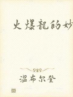 火爆龙的妙管家