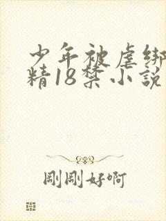 少年被虐绑着榨精18禁小说