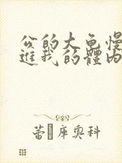 公的大龟慢慢挺进我的体内视频