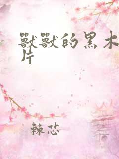 兽兽的黑木耳照片