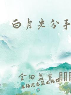 白月光分手日常
