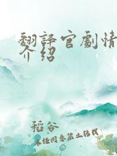 翻译官剧情分集介绍