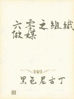 六零之组织给我做媒