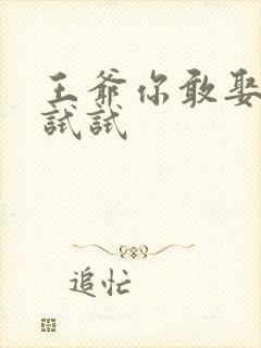 王爷你敢娶小三试试