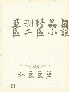 亚洲精品日韩一区二区小说