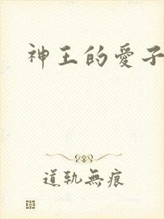 神王的爱子