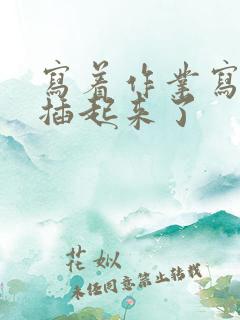 写着作业写着就插起来了