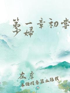 第一章初尝极品少妇