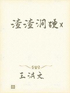 渣渣洞硬x