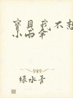 宝贝 我不想带小雨伞