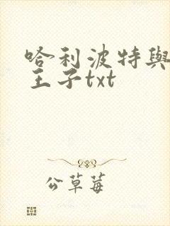 哈利波特与混血王子txt