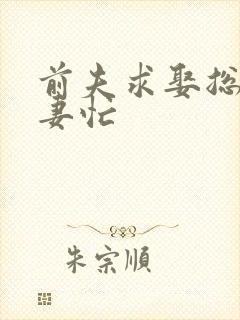 前夫求娶总裁追妻忙