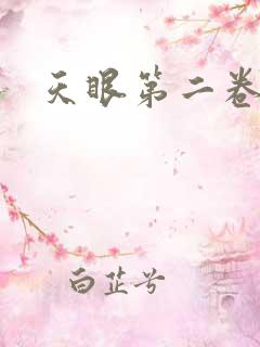 天眼第二卷