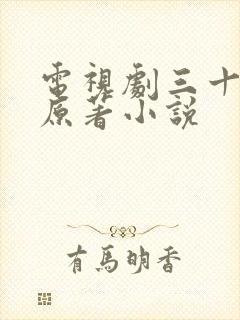 电视剧三十而已原著小说