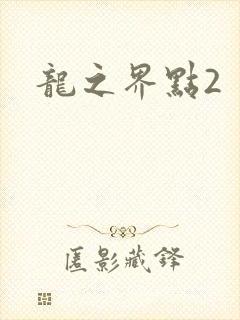 龙之界点2