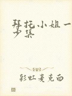 拜托小姐一共多少集