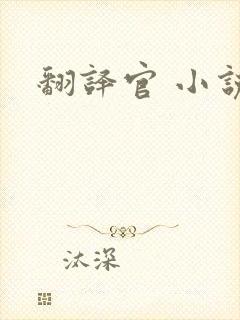 翻译官 小说