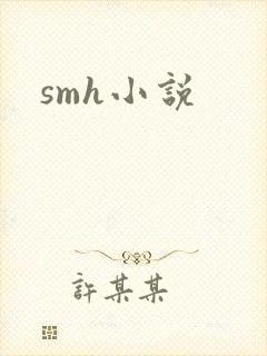 smh小说