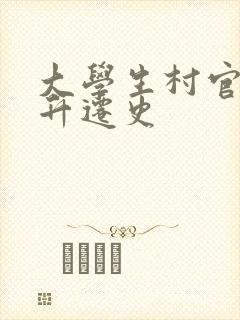 大学生村官艳遇升迁史