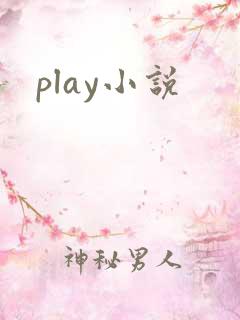 play小说