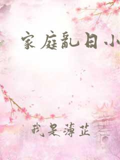 家庭乱日小说