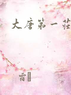 大唐第一庄