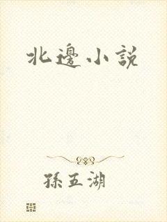 北边小说