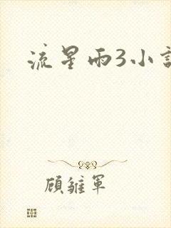 流星雨3小说