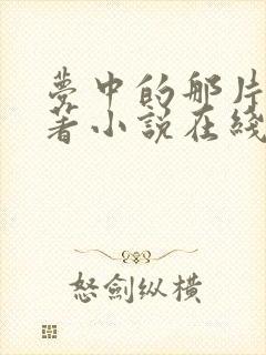 梦中的那片海原著小说在线阅读