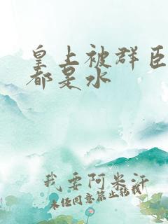 皇上被群臣干的都是水