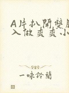 A片扒开双腿进入做爽爽小说