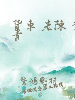 货车 老陈 李青