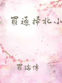 罗通扫北小说
