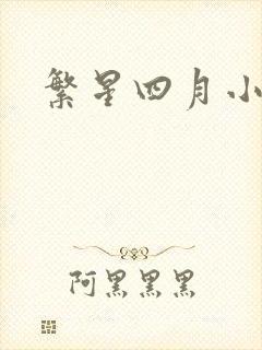 繁星四月小说