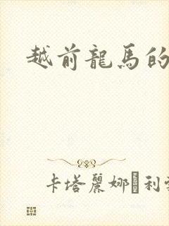 越前龙马的小说