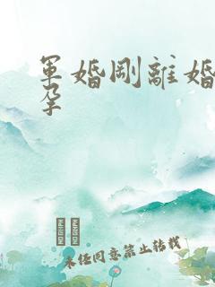 军婚刚离婚就怀孕