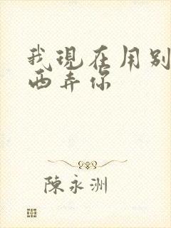 我现在用别的东西弄你