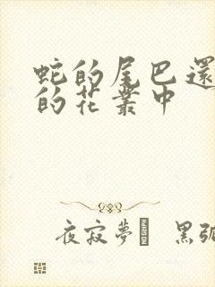 蛇的尾巴还在我的花丛中