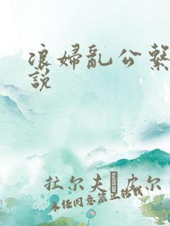 浪妇乱公系列小说