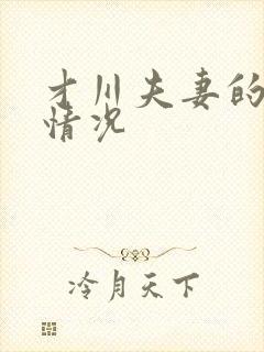 才川夫妻的恋爱情况